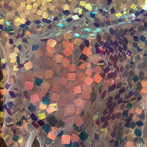 Knobs by Ryan Hill mesh scale iridescent tank (medium) - Picture 2 of 3